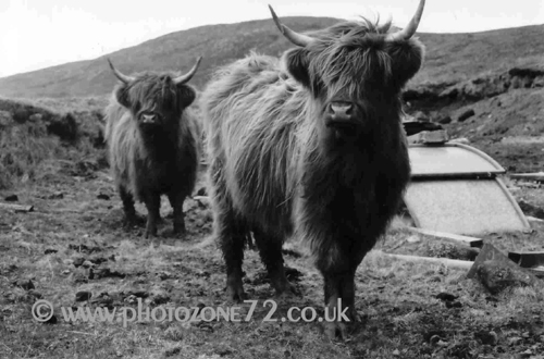 Local residents pictured on the road to Loch Skipport, easter 2005