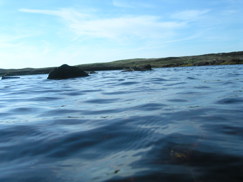 This photo was taken by the loch langavat monster cam!