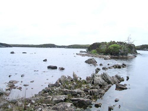 This loch is one of many in Craigstrome which are very good for fishing.