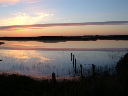 A nice evening shot from the roadside at West Olavat.