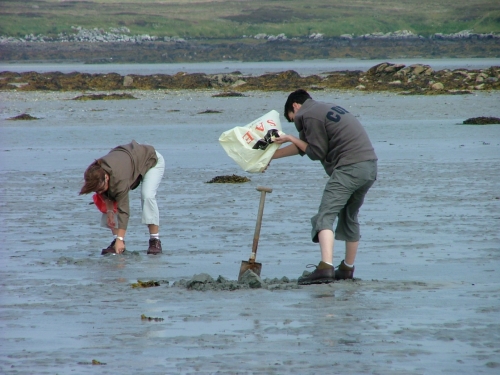 A hard days cockling on the South Ford.