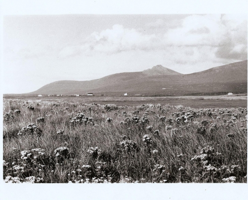 Bornish Machair photo by Donald