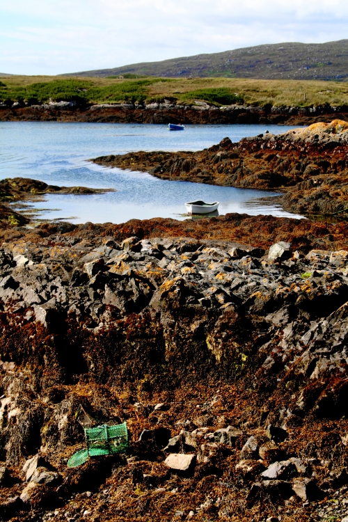 Boats at Lochboisdale, July 2010