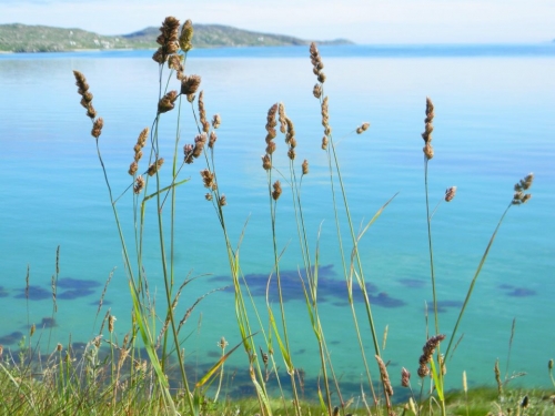 Photo taken by Theresa Kerr on South Uist looking across to Eriskay - Can you see our beach Killie Crew ?