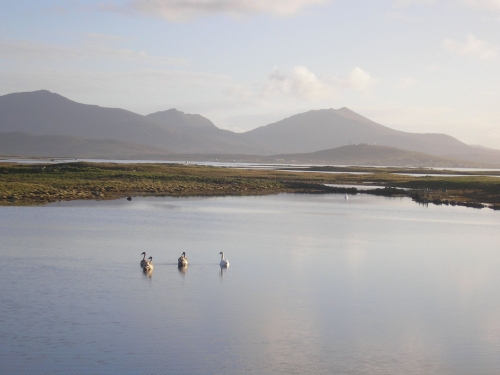 mountains,birds and loch at South Uist