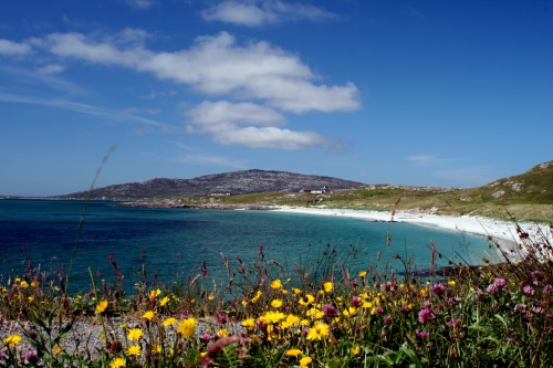 A beautiful August day on the beach at Eriskay, just up from the ferry terminal