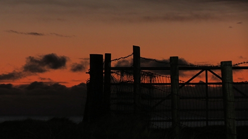 Sunset in the field at Culla Bay