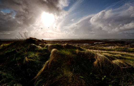 Taken on the foreshore at Kildonan on 17th October 2011