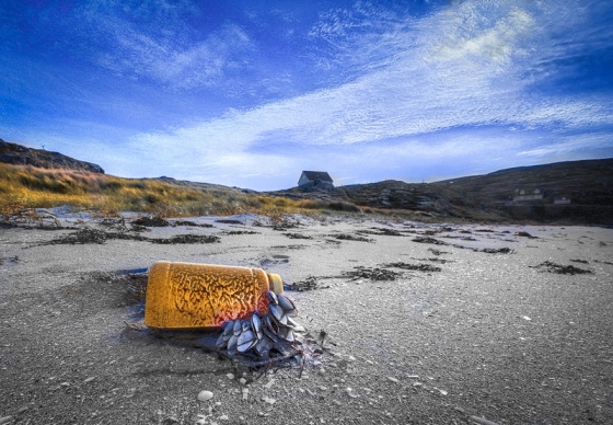 Even on one of the most unspoilt places in the UK there`s still litter and nature still finds a way to make a use of it. Goose Barnacles have colonised this plastic bottle brought in on the tide Taken 7th October 2010