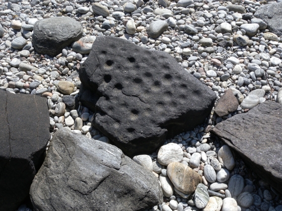 Aird aMhorain, cup marked stone at the Well of the Cups, near the old churchyard